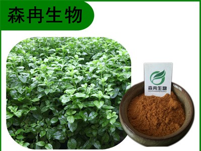 森冉生物 穿心莲提取物 一见喜提取物 穿心莲内脂图1