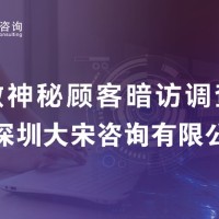 酒店服务优化指南，大宋咨询神秘客暗访助力