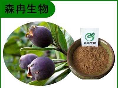 森冉生物 乌饭子提取物乌饭果提取物 比例提取原料粉