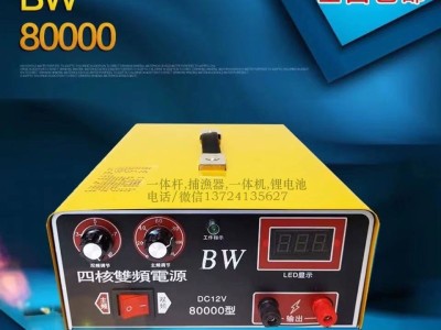 闪电王一体逆变器,打渔电源多少钱,超声波逆变电源图2