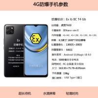 荣耀畅玩60Plus医药石油天然气防爆机12GB+256GB