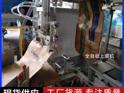 白砂糖全自动给袋式包装机图2
