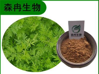 森冉生物 青蒿提取物 臭蒿提取物 青蒿素 原料粉图1