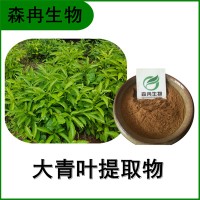 森冉生物 大青叶提取物 臭大青提取物 比例提取原料粉