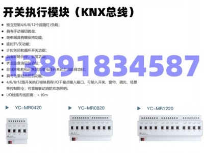亚川_能耗监测系统+楼宇自控（BA）系统+智能照明系统