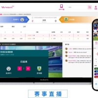 体育赛事即时比分系统源码：快速构建专业数据平台，抢占市场先机