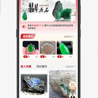 拍卖直播系统源码集成多端技术，助力企业快速搭建稳定运营平台