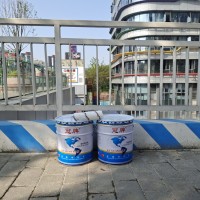 重庆IPN8710涂料厂家/不易脱落