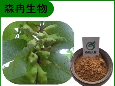 森冉生物 五倍子提取物 木附子提取物 单宁酸 植物提取原料粉