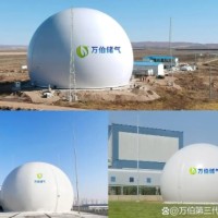 大白球双膜储气柜WD68S