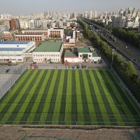 耐用型足球场人工草坪 填充石英砂 包工包料