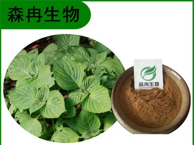 森冉生物 白苏叶提取物 荏叶提取物 比例提取原料粉图1