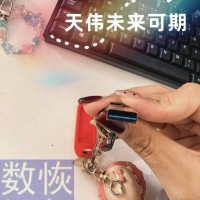 天津外接存储介质3.0 u盘数据恢复