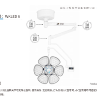 L1式高显型6花瓣LED手术灯无影灯