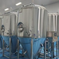 中小型精酿原浆啤酒设备定做厂家 1吨啤酒设备食品级不锈钢