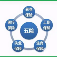 外地企业办理滨州社保，滨州五险一金代买，滨州社保代缴正规公司