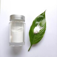 高纯纳米氧化锌 陶瓷好粉体CY-J30/J50